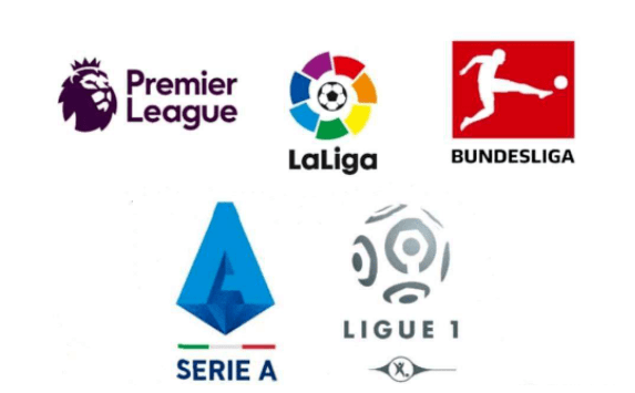 持着顽强的 持着顽强的